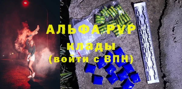 твердый Вяземский