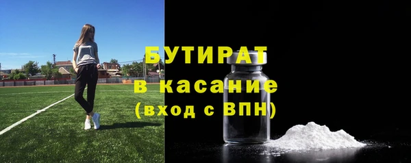 твердый Вяземский