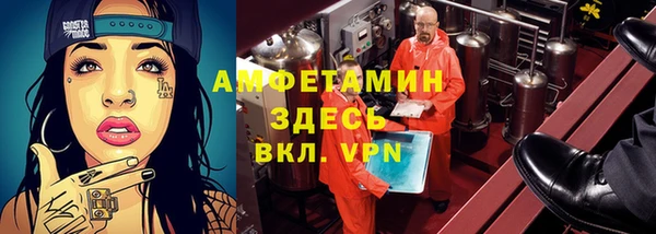 твердый Вяземский