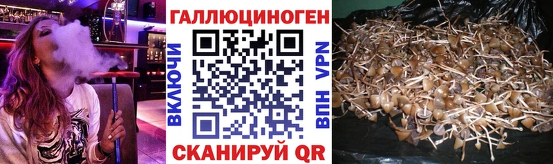 Псилоцибиновые грибы MAGIC MUSHROOMS  Купить  Торопец 